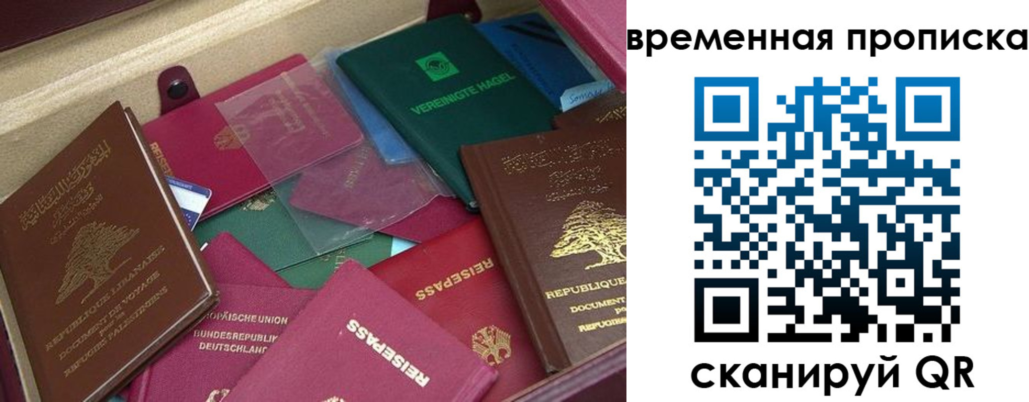прописка в Зиме